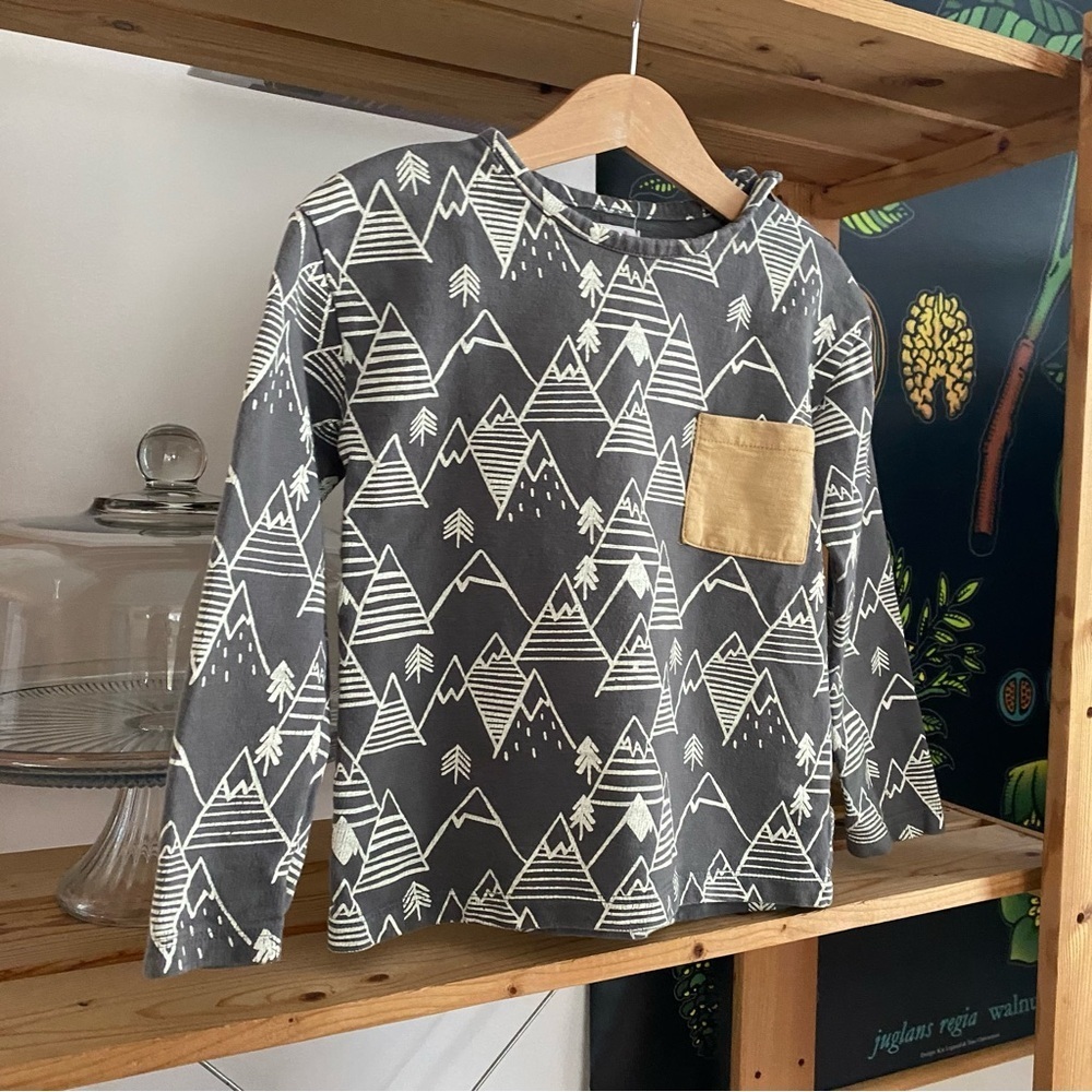 Lali Gray Winter Mountain Print Long Sleeve Shirt - Picture 4 of 13
